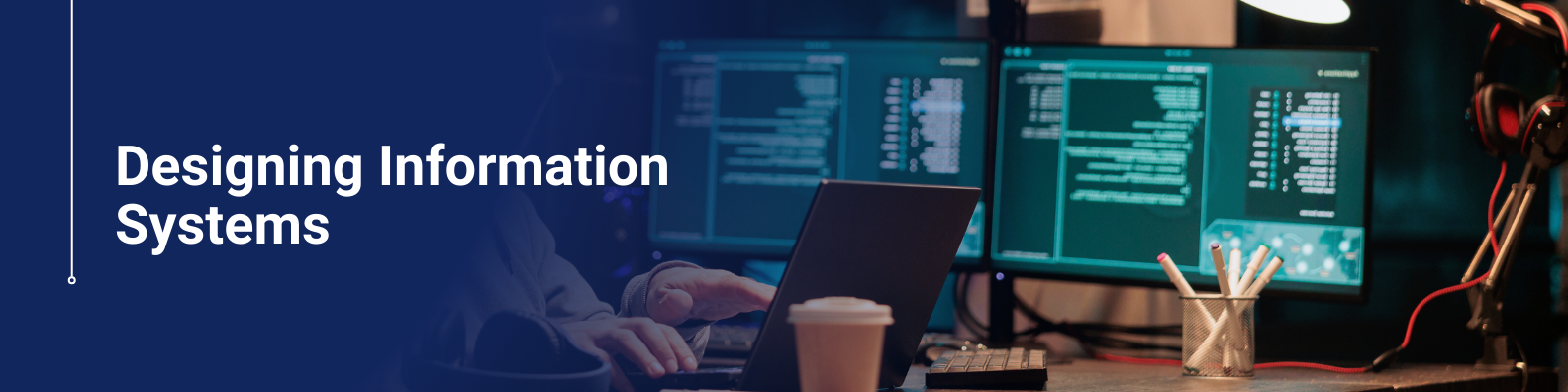 Designing Information Systems Online Course