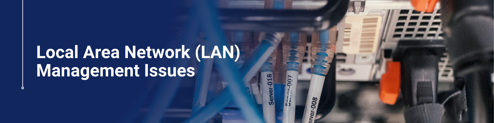 Local Area Network (LAN) Management Issues