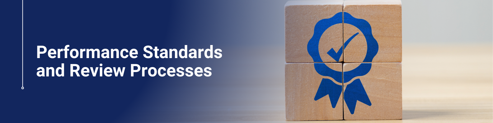Performance Standards and Review Processes
