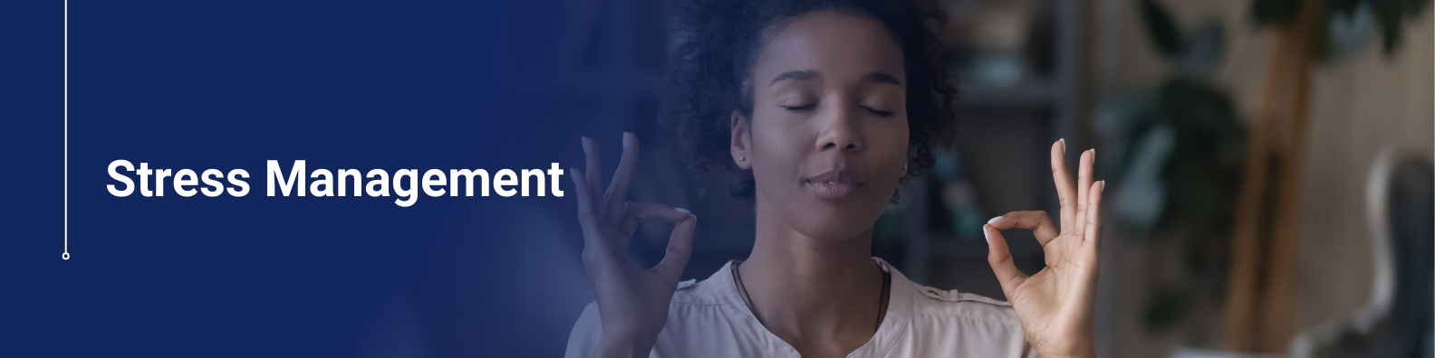 Stress Management | Improve Mental Wellness & Productivity Online Course