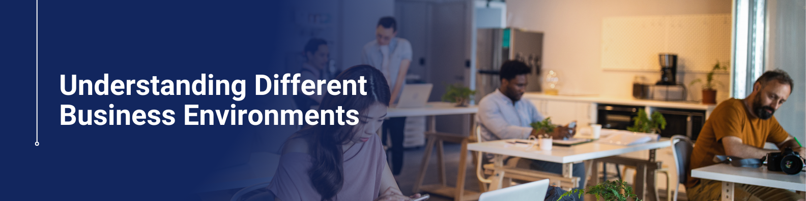 Understanding Different Business Environments Online Course