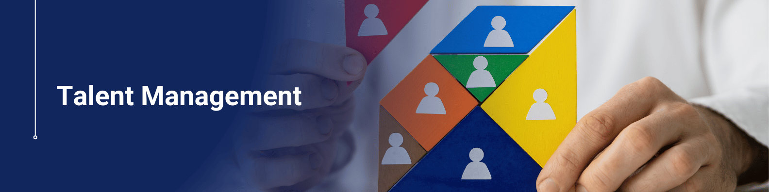 Talent Management Online Course